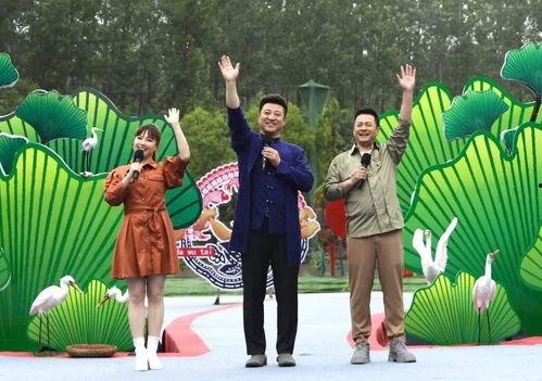 曲師大校友爆料視頻最新,揭秘校園內幕，獨家視頻曝光！