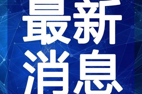 納雍新聞爆料最新消息視頻,視頻揭露驚人真相！