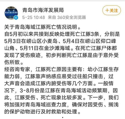 農村王先生最新爆料,揭秘農村發(fā)展新動向