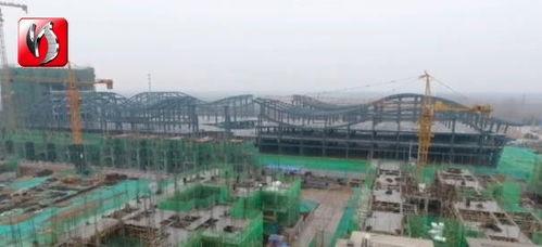 桃城區(qū)最新爆料,揭秘背后驚人真相